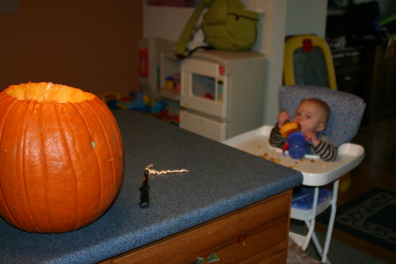 Picture 248.jpg